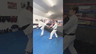 Mae Geri  Hiza Geri  Kakato Geri karate padwork martialarts [upl. by Rhonda]