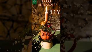 Deco Autunnale idea facile e veloce 🍂 Autunno Deco Diy shortsvideo faidate [upl. by Arriet]