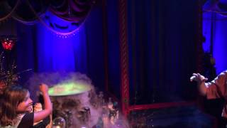 Conjure A Disney Villain Meet amp Greet 2014  Disneyland Park [upl. by Emlynne657]