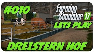 Gut vorbereitet 010  DREISTERN HOF 🚜  LS17 Lets Play [upl. by Rasecoiluj]