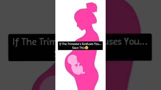 Pregnancy Weeks Months amp Trimesters shorts pregnancy reels [upl. by Aninnaig]