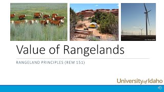 Values of Rangelands [upl. by Yssep982]