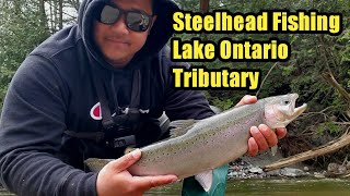 2023 Trout Opener Day 4 Lake Ontario Trib  Steelhead Fishing [upl. by Eitsrik52]