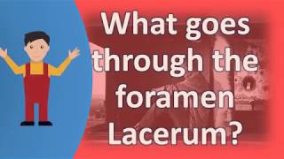 What goes through the foramen Lacerum   Better Health Channel [upl. by Schrader703]