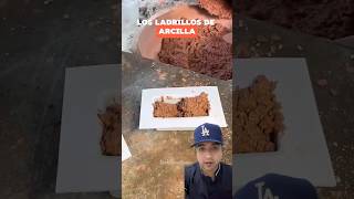 Cómo se fabrican los ladrillos de arcilla 🧱 ladrillos construccion fabricacion [upl. by Nonarb258]