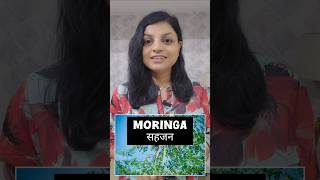 क्या है Moringa सहजन के गूणhealth moringa drumsticks food gharkakhana viralshort [upl. by Adnwahsor186]