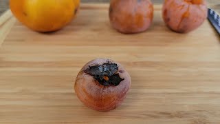 Persimmon Review Comparing 3 Varieties Americans Keener amp Yates and Asian Fuyu [upl. by Germann]