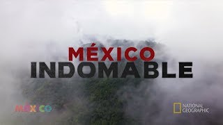 México Indomable Episodio 1 [upl. by Otila]