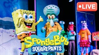 SpongeBob SqaurePants Live Performance at Dubai  Meet and Greet [upl. by Einaoj]