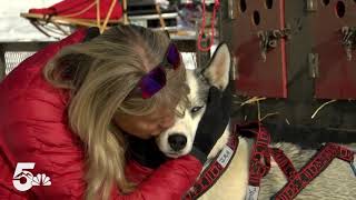 Dog Sledding in Leadville [upl. by Suiradel]