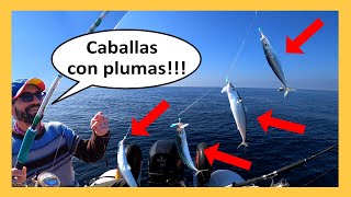 Pesca de CABALLAS con PLUMAS desde embarcación con el Patrón  Jurel Ramon 4 [upl. by Rebhun628]