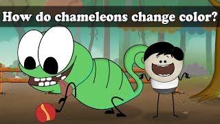 How do chameleons change color  aumsum kids science education children [upl. by Philbert]