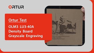 👀LU340A Density Board Grayscale Engraving [upl. by Noitna]