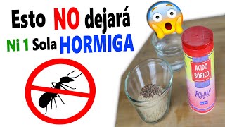 3 INGREDIENTES PARA ACABAR CON LAS HORMIGAS PARA SIEMPRE [upl. by Marcelo]