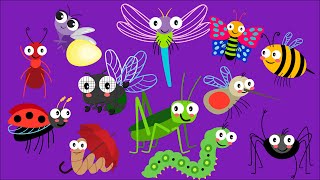 Bugs Insects Song  Shapes Color number  Kitchen Pretend Play [upl. by Donell]