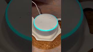 Amazons Alexa’s 09272024 alexa musician viralvideo viralshorts youtubeislife youtubeshorts [upl. by Nodnerb]