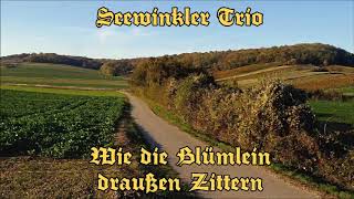 Seewinkler Trio  Wie die Blümlein draußen Zittern [upl. by Ennaeus]