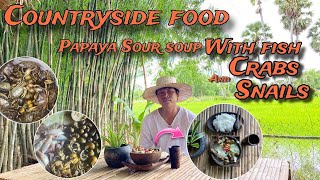 Countryside Food Papaya sour soup with Fish Crab and Snails [upl. by Reivaz]