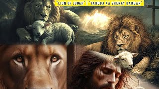 Lion Of Judah  Yahuda Ka Sheray Babbar  bible study [upl. by Rodmun]