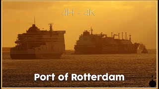 4 Hours Maasvlakte  Europoort and Hook van Holland  4K [upl. by Eseret]