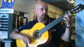 Pro Music Store  Artesano Flamenco S [upl. by Fleece136]