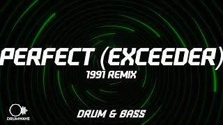 Mason vs Princess Superstar  Perfect Exceeder 1991 Remix [upl. by Creighton]