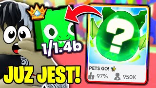 JUŻ JEST️‍🔥NOWY DRAGON UPDATE w PETS GO️‍😲 [upl. by Dougie]