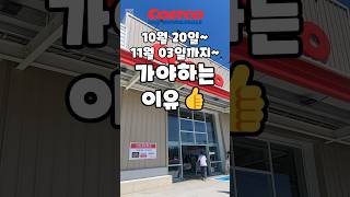 코스트코 10월 20일11월 03일까지 가야하는 이유 costco 코스트코 코스트코추천템 코스트코할인 코스트코에서꼭사야할것 [upl. by Wilkey149]