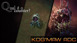 Qual é o counter  Kog Maw ADC [upl. by Hartzke]