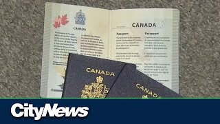 Whatever happened to the plan for online passport renewal in Canada [upl. by Aicyle]