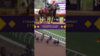 Straight No Chaser wins the 2 Million Cygames BreedersCup Sprint [upl. by Hanoj]