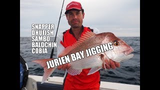 JURIEN BAY JIGGING  Dhufish Snapper Baldchin Cobia [upl. by Avlasor]