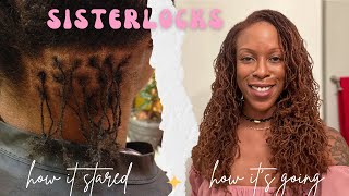 Sisterlocks Journey 10 Year Update Installation Hair Phases Retightening Routine Colour [upl. by Ecirtaed]