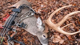 GIANT BUCK Missouri Bowhunting 2024 [upl. by Nais143]