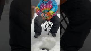 Big stocked Alaskan Arctic char broodstock catch and release ice fishing 24” fish fishalaska fish [upl. by Sulokcin492]