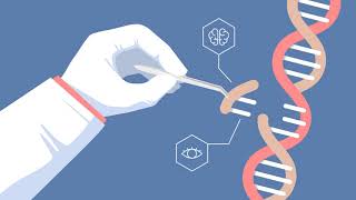 Genome Editing  Creative Biolabs [upl. by Londoner81]