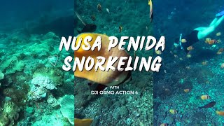 Snorkeling in Nusa Penida Bali  DJI Osmo Action 4 Underwater Footage [upl. by Jemy]