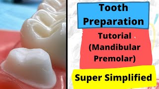 Crown Preparation TIPS and TRICKS  Mandibular Premolar Zirconia crown [upl. by Ransom922]