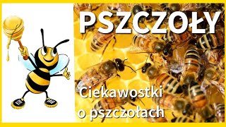 PSZCZOŁY I MIÓD🐝 CIEKAWOSTKI O PSZCZOŁACH I MIODZIE🐝Dzień pszczół Chrońmy zagrożone gatunki [upl. by Osugi]