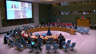 Timothy Snyder briefs The United Nations Security Council on quotrussophobiaquot [upl. by Hamas475]