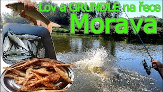 Morava🎣 recept  GRUNDLE 🍗 a naše rybářské dobrodružství🐟kapr sumec parma ouklej👑 [upl. by Acsecnarf]