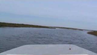 Shoalwater Cat 23 creek runmpg [upl. by Ventre880]