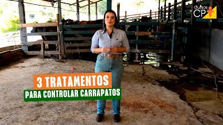 Como controlar carrapatos bovinos Veja 3 formas de tratamentos [upl. by Portingale]