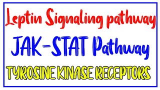 Leptin Receptor Signaling Pathway JAK STAT Signaling Pathway Tyrosine Kinase Pathway [upl. by Akinehc]