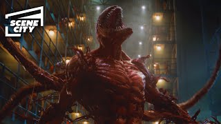 Venom Let There Be Carnage Prison Break HD MOVIE CLIP  With Captions [upl. by Stirling723]