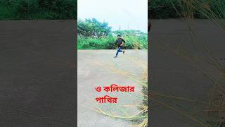 কলিজার পাখিরে ও পরানের পাখিরে কলিজারপাখি foryou funny islamik shorts [upl. by Joby]