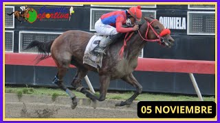 ✅RESUMEN 📽 martes 05 NOVIEMBRE 2024 carreras caballos🏇 en el V Centenario💰 [upl. by Notsnhoj]