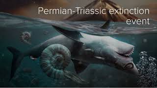 What was the PermianTriassic Extinction Event [upl. by Nadnal]