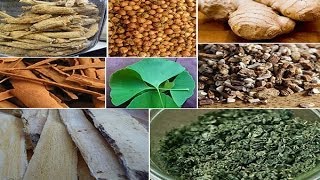 Best Herbs for Energy Using Natural Herbal Stimulants [upl. by Rigby]