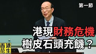 立法會奇觀！議員直指香港似明朝中葉有財政危機，暗示下一步可能食樹皮石頭？︱大君伐週五版 第1節 24年11月15日 [upl. by Sibylle]